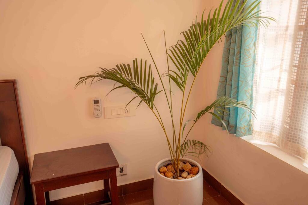 Baywatch By Grha - A Picturesque Beachfront Villa كاليكوت المظهر الخارجي الصورة